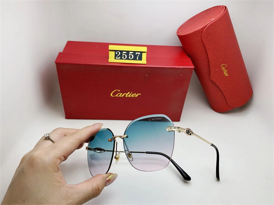 Cartier Sunglass A 017
